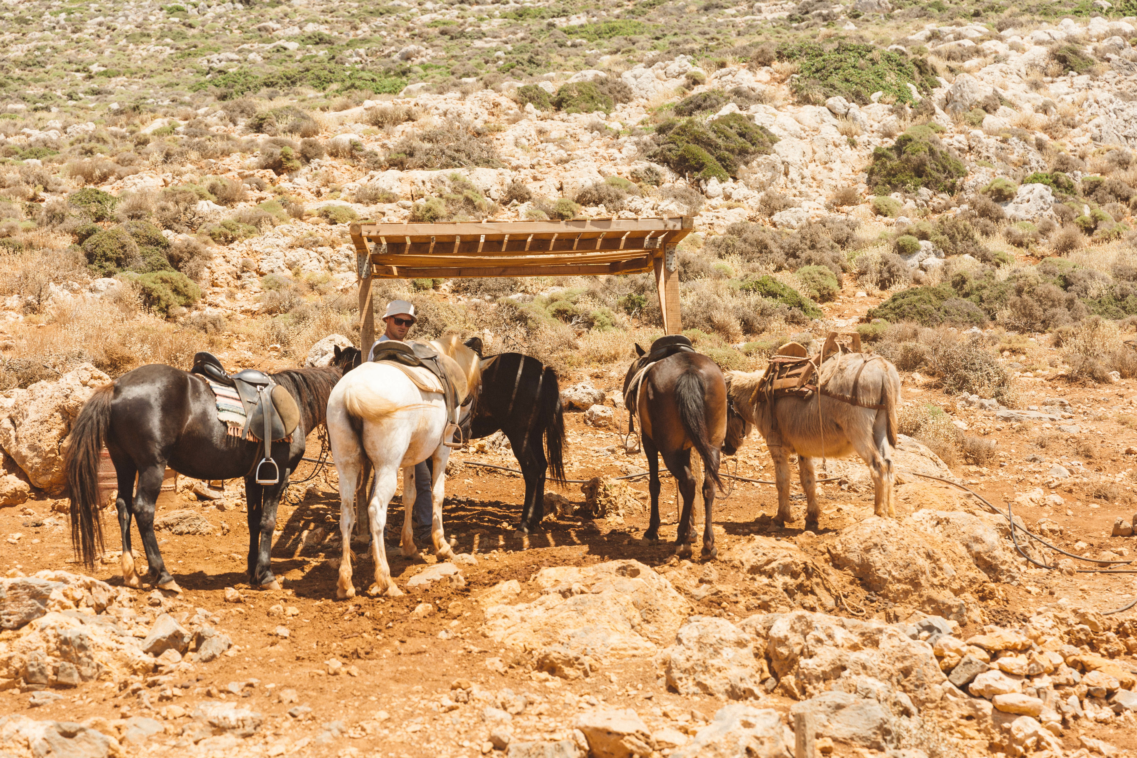 Balos Beach Esel Transport